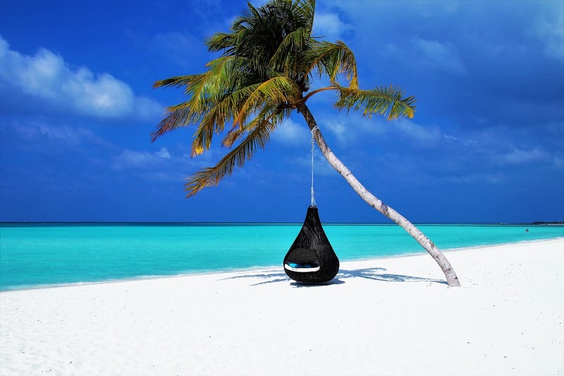 Exotic Hotel